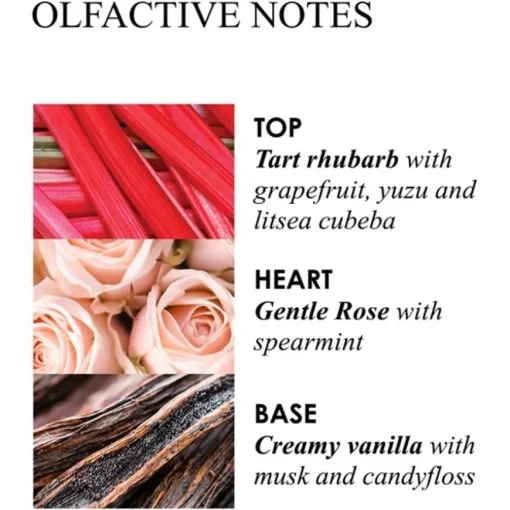 Delicious Rhubarb & Rose Scented Candle von Molton Brown