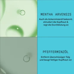 Dezent dünner werdendes Haar Scalp Therapy Revitalising Conditioner Colored Hair Light Thinning von Nioxin