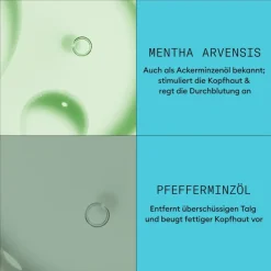 Dezent dünner werdendes Haar Scalp Therapy Revitalising Conditioner Colored Hair Light Thinning von Nioxin
