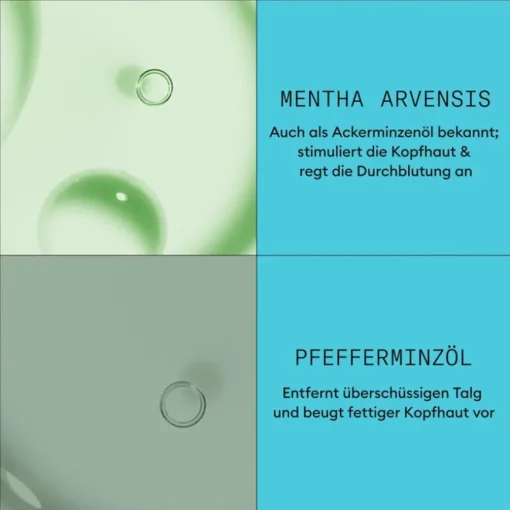 Dezent dünner werdendes Haar Scalp Therapy Revitalising Conditioner Colored Hair Light Thinning von Nioxin