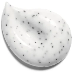 DIE KOLLEKTION DER MAKE-UP-ENTFERNER LE MASQUE Exfolierende Maske mit Kamelie von CHANEL