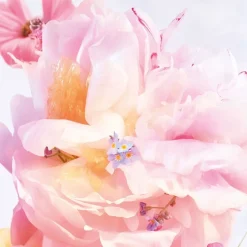 DIOR Miss Dior Roller-Pearl Blooming Bouquet
