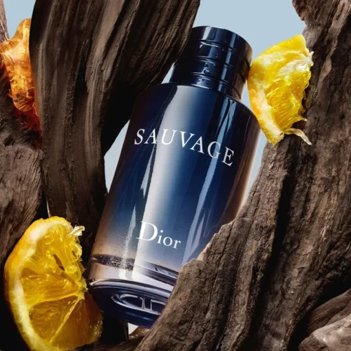 DIOR Sauvage Eau de Toilette Spray