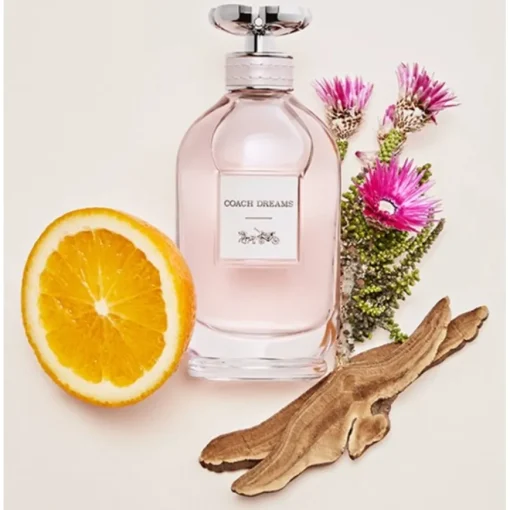 Dreams Eau de Parfum Spray von Coach