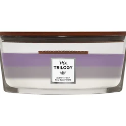 Duftkerzen Amethyst Sky von WoodWick