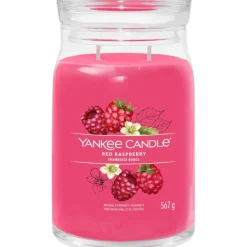Duftkerzen Red Raspberry von Yankee Candle