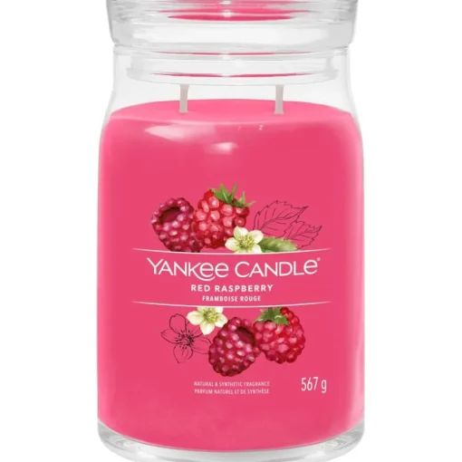Duftkerzen Red Raspberry von Yankee Candle