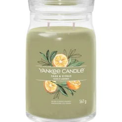 Duftkerzen Sage & Citrus von Yankee Candle