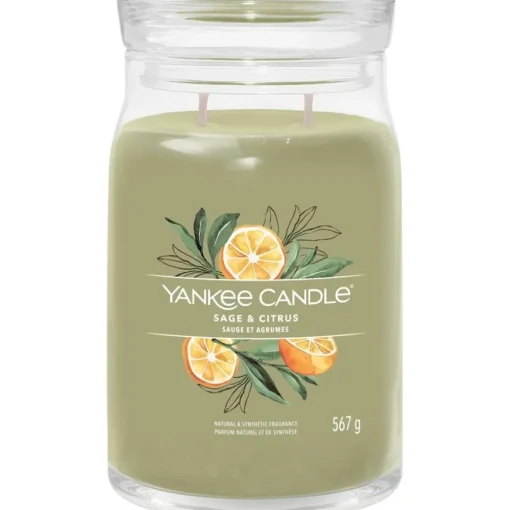 Duftkerzen Sage & Citrus von Yankee Candle