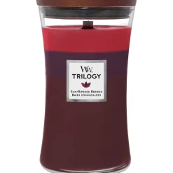Duftkerzen Sun-Ripened Berries von WoodWick