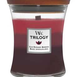 Duftkerzen Sun-Ripened Berries von WoodWick
