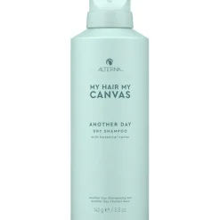 Extend Another Day Dry Shampoo von Alterna