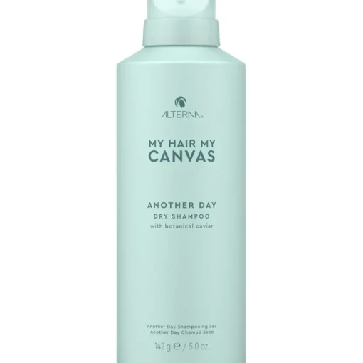 Extend Another Day Dry Shampoo von Alterna