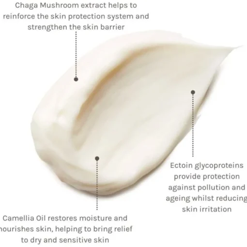 Feuchtigkeitspflege Pro+ Ectoin Soothing Cream von Evolve Organic Beauty