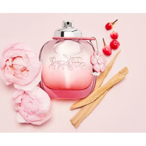 Floral Blush Eau de Parfum Spray von Coach