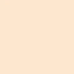Foundation Pro'fusion Fluid Foundation von Zao