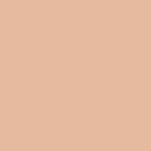 Foundation Pro'fusion Fluid Foundation von Zao