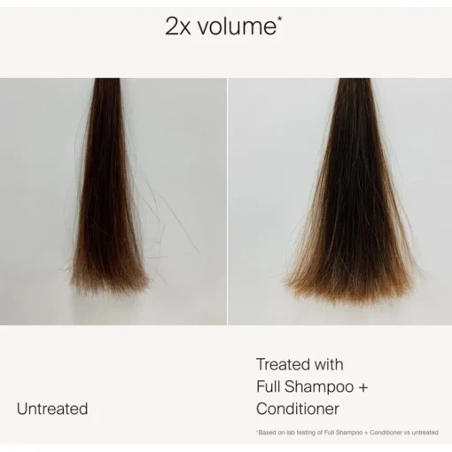Full Conditioner von Living Proof