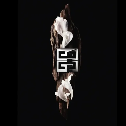 GENTLEMAN SOCIETY Eau de Parfum Spray von GIVENCHY