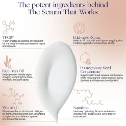 Gesicht The Serum Nomad Nachfüllung von Augustinus Bader