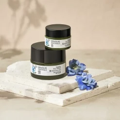 Gesichtspflege 48H Hydrating Day Cream von Douglas Collection