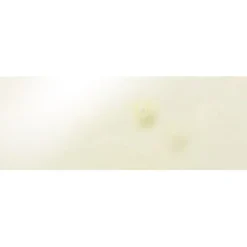 Gesichtsserum- & Elixir Morning Facial Tageselixier von Sarah Chapman
