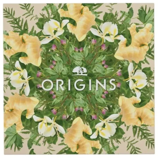 Ginger The Ginger Body Collection von Origins