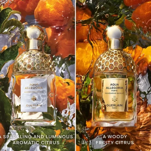 GUERLAIN Aqua Allegoria Mandarine Basilic Forte Eau de Parfum Spray