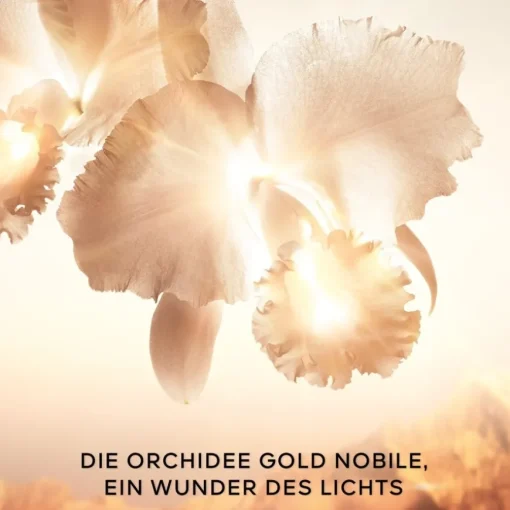 GUERLAIN Gold Nobile Cream