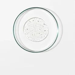 Handpflege Revitalize Hand Wash von Grown Alchemist