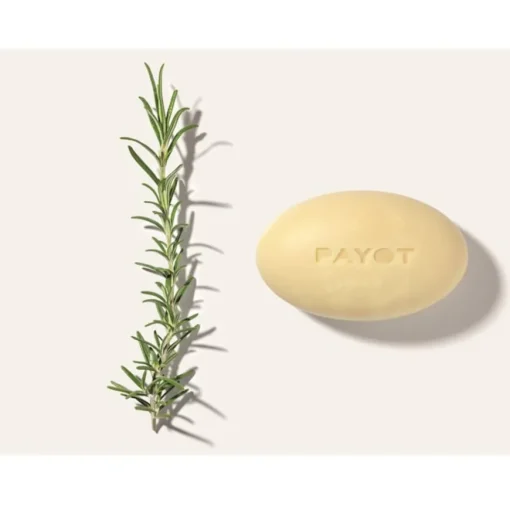 Herbier Barre de Massage Nourrissante Visage et Corps à L'Huile Essentielle de Romarin von Payot