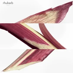 Hermès Collection Colognes Eau de Rhubarbe Écarlate Eau de Cologne Spray