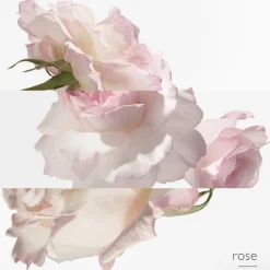 Hermès Collection Colognes Concentré de Pamplemousse Rose Eau de Toilette Spray