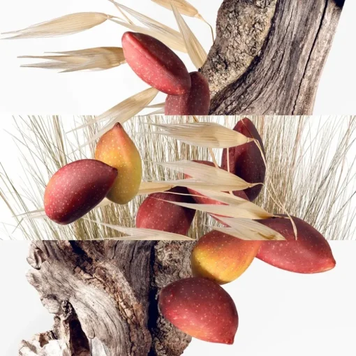 Hermès Collection Parfums-Jardins Un Jardin à Cythère Eau de Toilette Spray