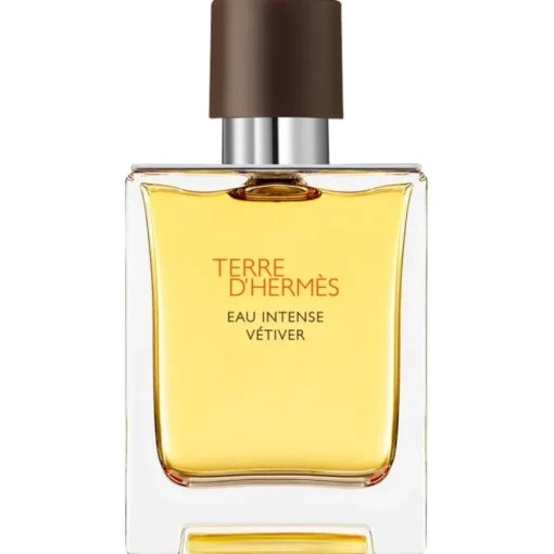 Hermès Terre d'Hermès Eau Intense Vetiver Eau de Parfum Spray