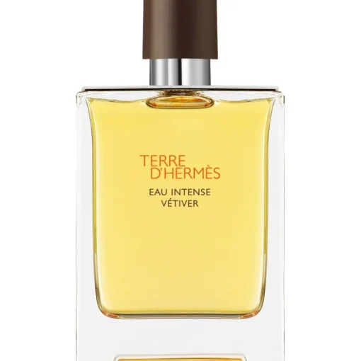 Hermès Terre d'Hermès Eau Intense Vetiver Eau de Parfum Spray