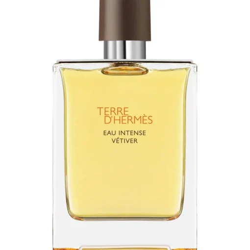 Hermès Terre d'Hermès Eau Intense Vetiver Eau de Parfum Spray
