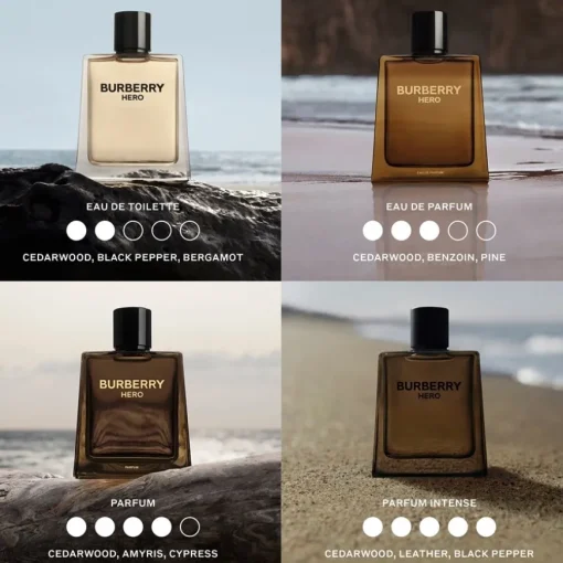 Hero Parfum Intense von Burberry