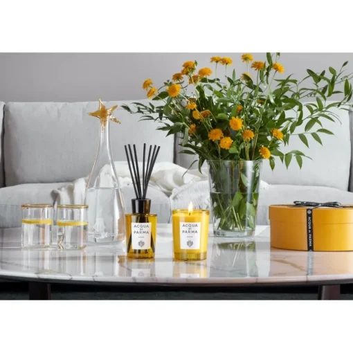 Home Collection Diffusor Insieme von Acqua di Parma