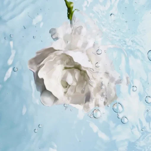 HYDRA BEAUTY HYDRA BEAUTY MICRO SÉRUM Feuchtigkeitsspendend ausgleichend aufpolsternd von CHANEL
