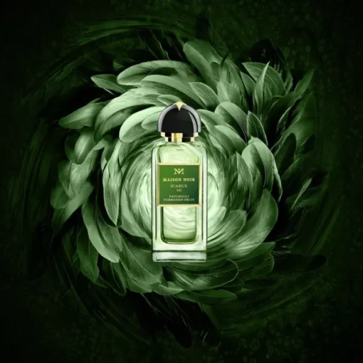 Icarus 347 Eau de Parfum Spray von Maison Noir