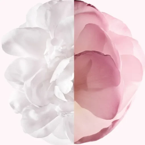 IRRÉSISTIBLE Eau de Parfum Spray Very Floral von GIVENCHY