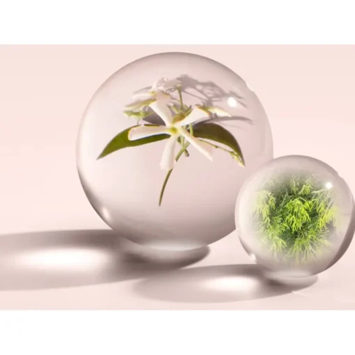 Jasmine & Sun Rose Eau de Parfum Spray von Molton Brown