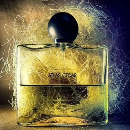 Jean-Charles Brosseau Collection Homme Atlas Cedar Eau de Toilette Spray