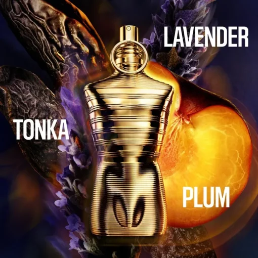 Le Male Elixir Absolu Parfum Intense von Jean Paul Gaultier