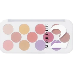 Lidschatten 12 Pan Ready for Anything Social Butterfly von Morphe