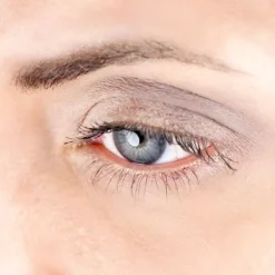 Lidschatten & Primer Matt Eyeshadow Refill von Zao