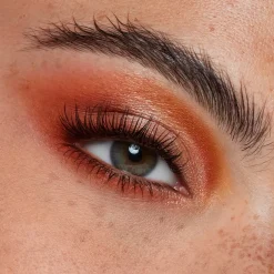 Lidschatten Heatseeker Eyeshadow Palette von Morphe