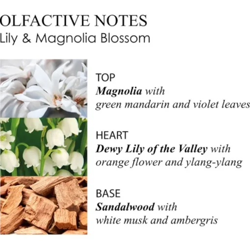 Lilly & Magnolia Blossom Body Lotion von Molton Brown