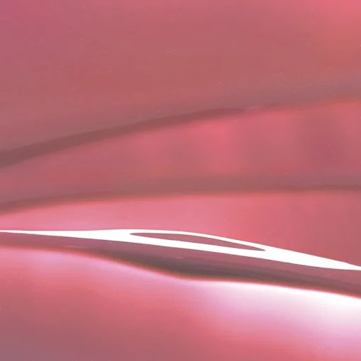 Lipgloss Refill Lip Polish von Zao